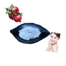 Ellagic Acid 99% Cosmetic Raw Material Pomegranate Peel Extract CAS 476-66-4 Ellagic Acid